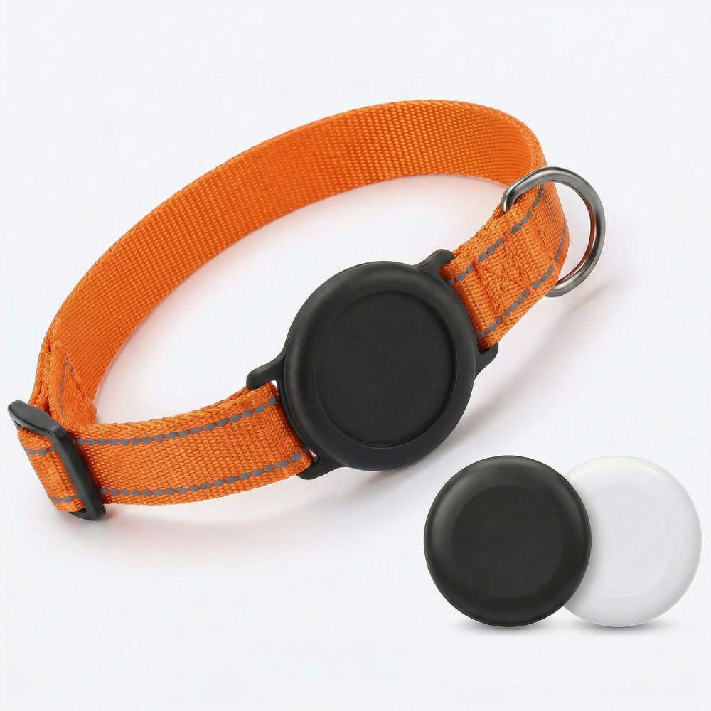 Collier GPS Be Track — Localisez votre chien en temps réel