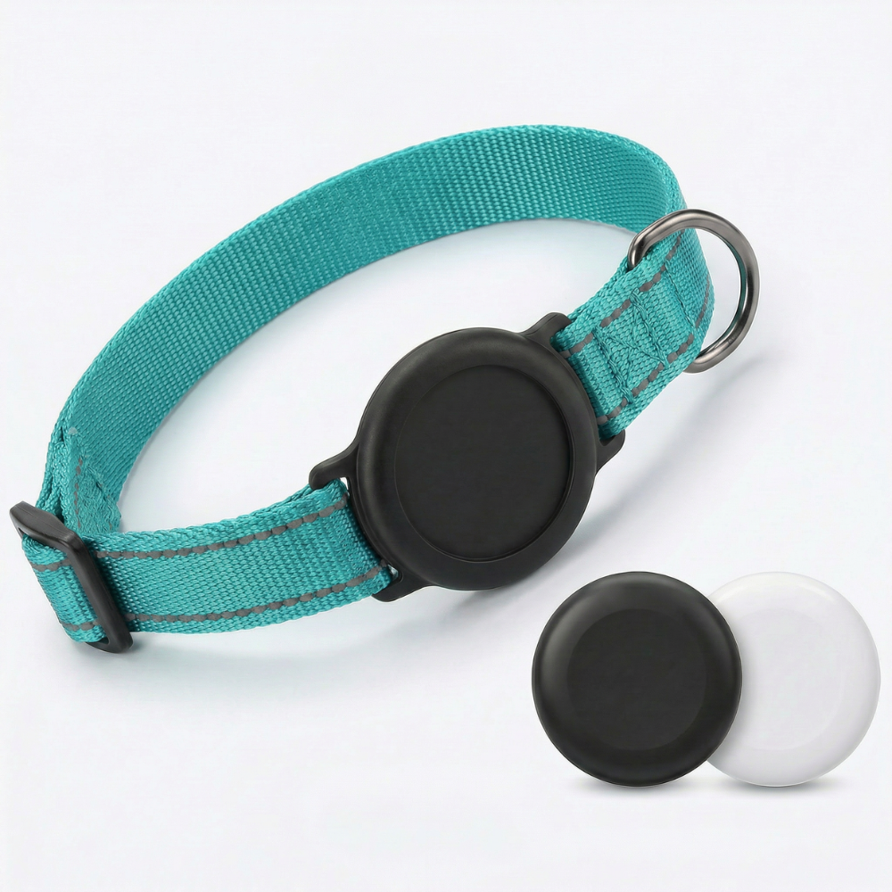 Collier GPS Be Track — Localisez votre chien en temps réel