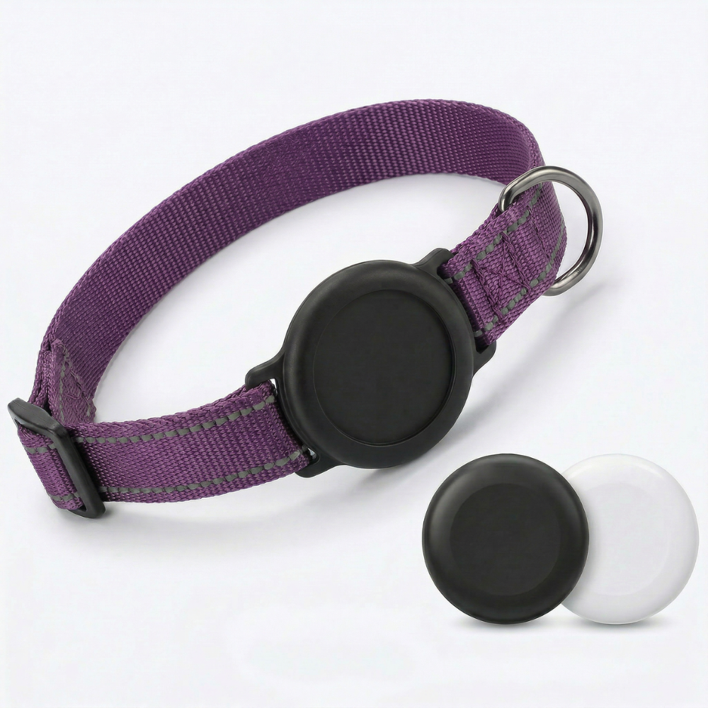 Collier GPS Be Track — Localisez votre chien en temps réel