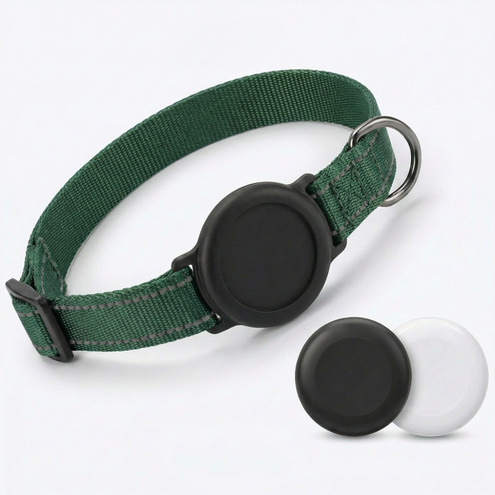 Collier GPS Be Track — Localisez votre chien en temps réel