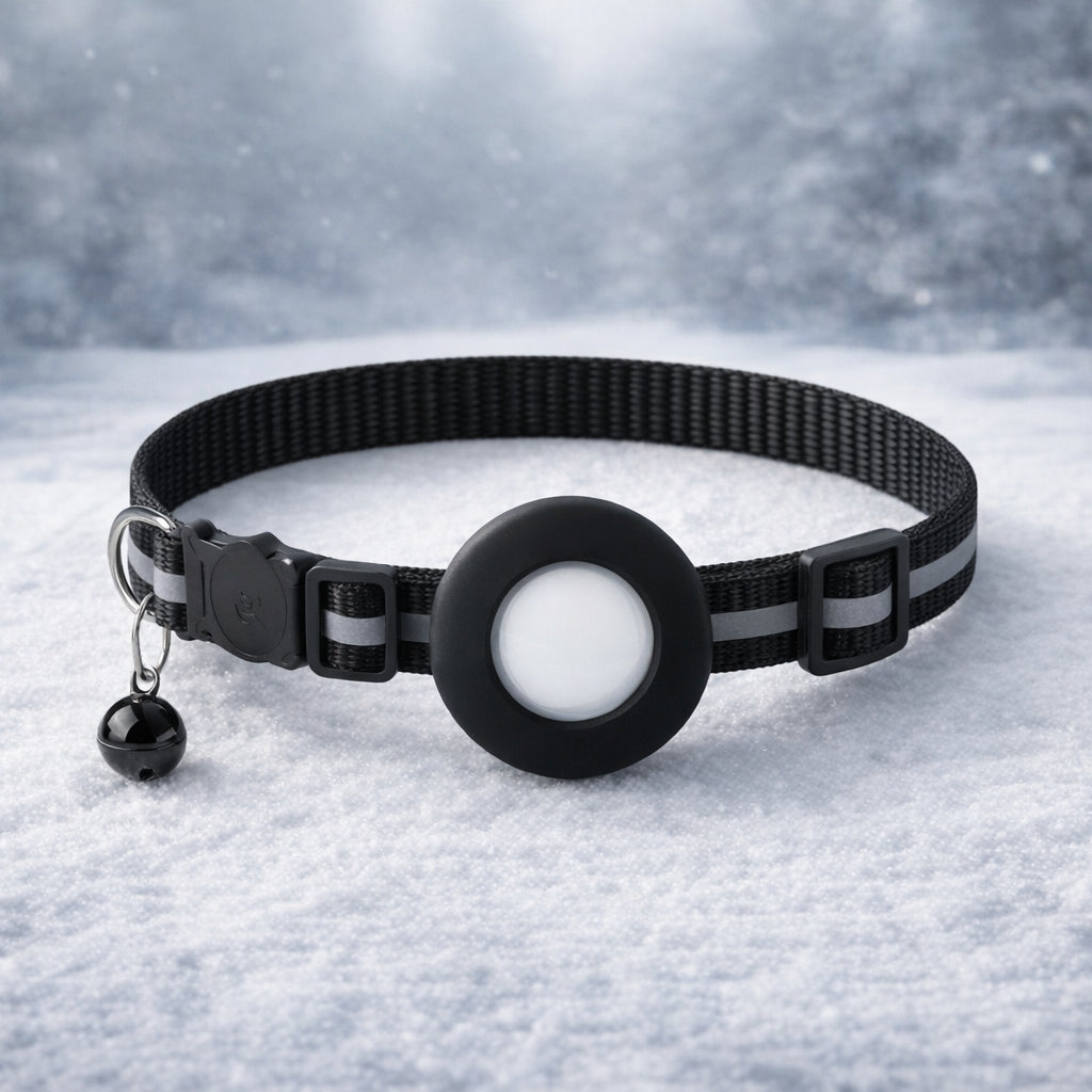 Collier GPS Be Track — Localisez votre chat en temps réel