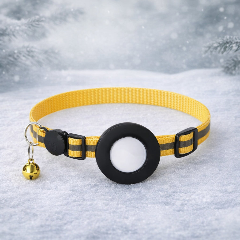 Collier GPS Be Track — Localisez votre chat en temps réel